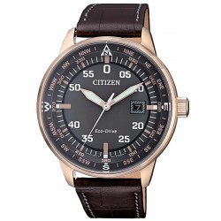 Comprar Reloj Hombre Citizen Aviator Eco-Drive BM7393-16H