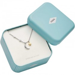 Купить Fossil Женские Ожерелье Sterling Silver JFS00432998