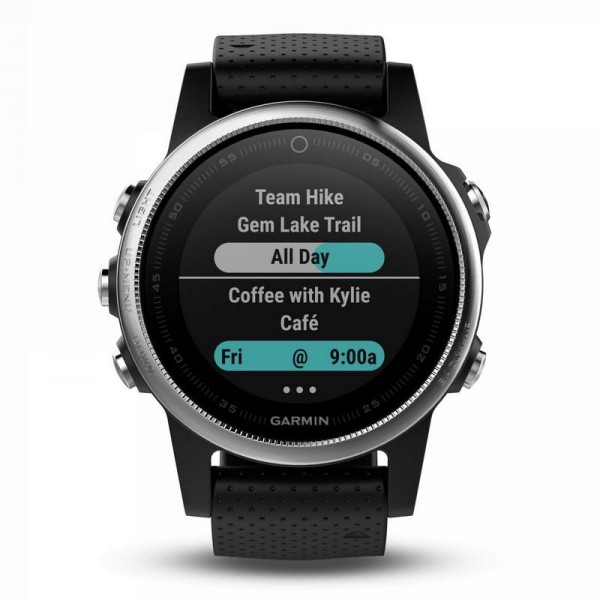 Купить Garmin Унисекс Часы Fēnix 5S 010-01685-02 GPS Multisport Smartwatch