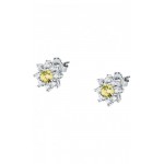 Image of Morellato Tesori Womens Earrings SAIW188