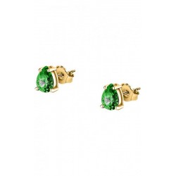 Image of Morellato Tesori Womens Earrings SAIW197