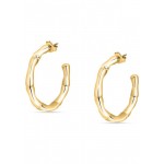 Image of Morellato Essenza Ladies Earrings SAWA09