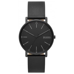 Изображение Skagen Signatur Женские Часы SKW6902